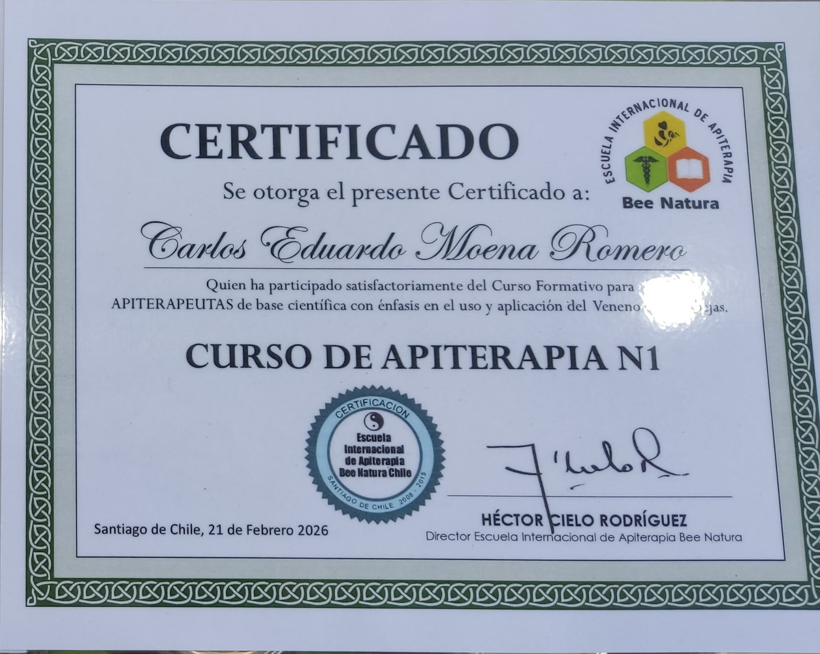 APITERAPIA