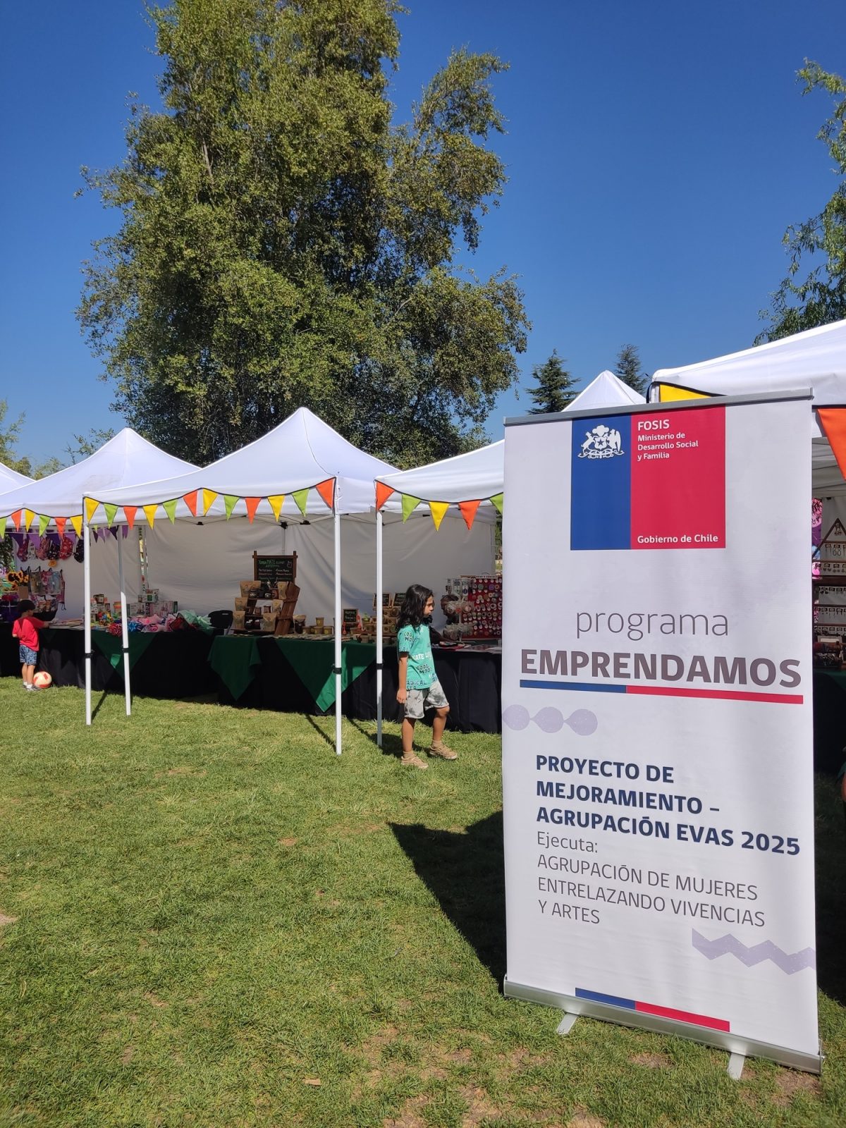 Proyecto Fosis 2025 - 2026