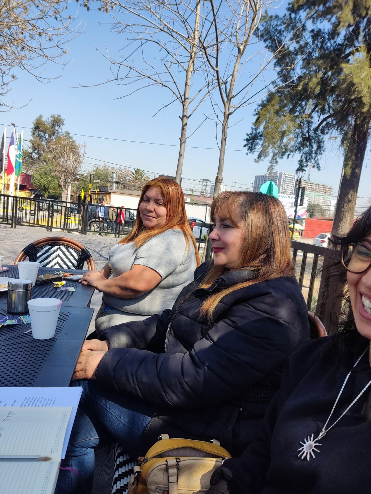Proyecto Fosis 2025 - 2026
